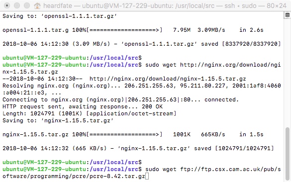 下载依赖库及NGINX